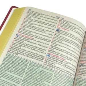 1850593695-biblia-de-estudo-king-james-hipergigante-full-color-capa-dura-tradicionalcpp-51539-site-interno1-jpg-1fb04b5ec531d753e317555332694433-640-0 Bíblia De Estudo King James Hipergigante - Full Color - Capa Dura Tradicional